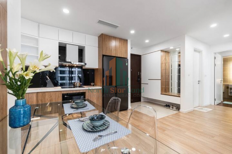 Cần cho thuê gấp căn hộ 2 phòng ngủ Vinhomes D capital full nội thất, View thành phố tuyệt đẹp 24