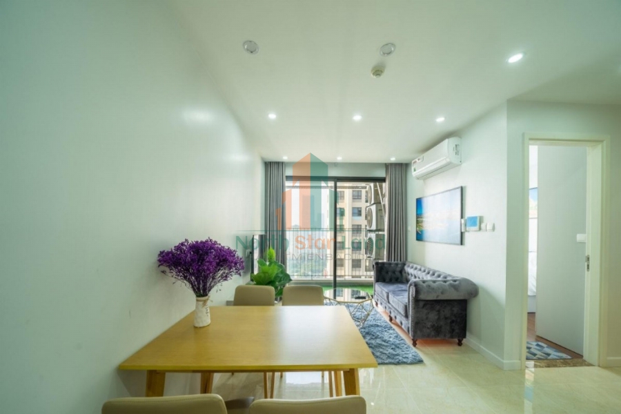 Chính chủ cho thuê Căn hộ 2 PN Vinhomes D Capitale phong cách Châu Âu, Đẳng Cấp giữa Lòng Thành Phố 22