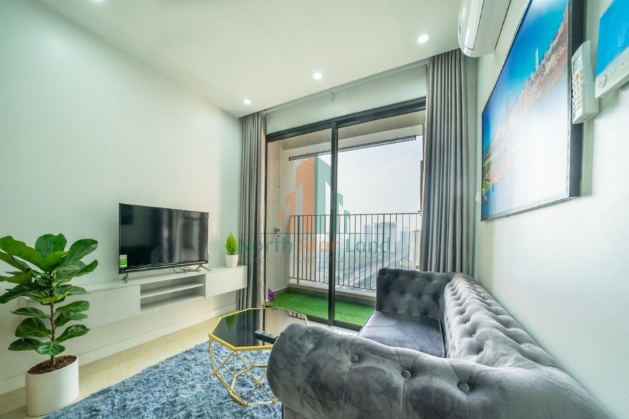 Chính chủ cho thuê Căn hộ 2 PN Vinhomes D Capitale phong cách Châu Âu, Đẳng Cấp giữa Lòng Thành Phố 24