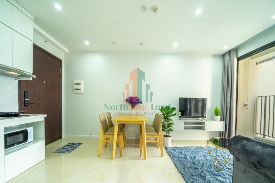 Chính chủ cho thuê Căn hộ 2 PN Vinhomes D Capitale phong cách Châu Âu, Đẳng Cấp giữa Lòng Thành Phố 25