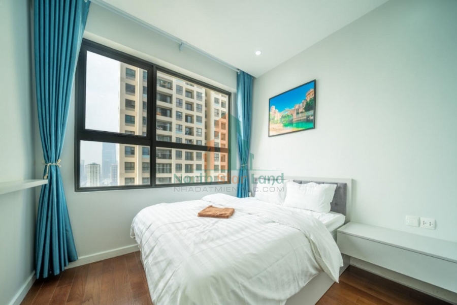 Chính chủ cho thuê Căn hộ 2 PN Vinhomes D Capitale phong cách Châu Âu, Đẳng Cấp giữa Lòng Thành Phố 29