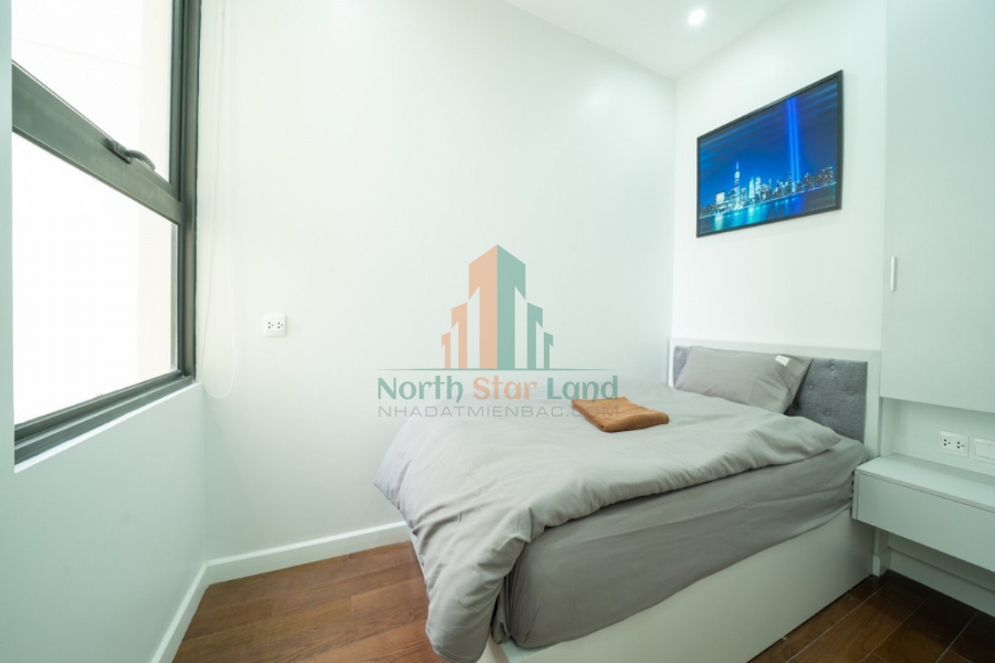 Chính chủ cho thuê Căn hộ 2 PN Vinhomes D Capitale phong cách Châu Âu, Đẳng Cấp giữa Lòng Thành Phố 30