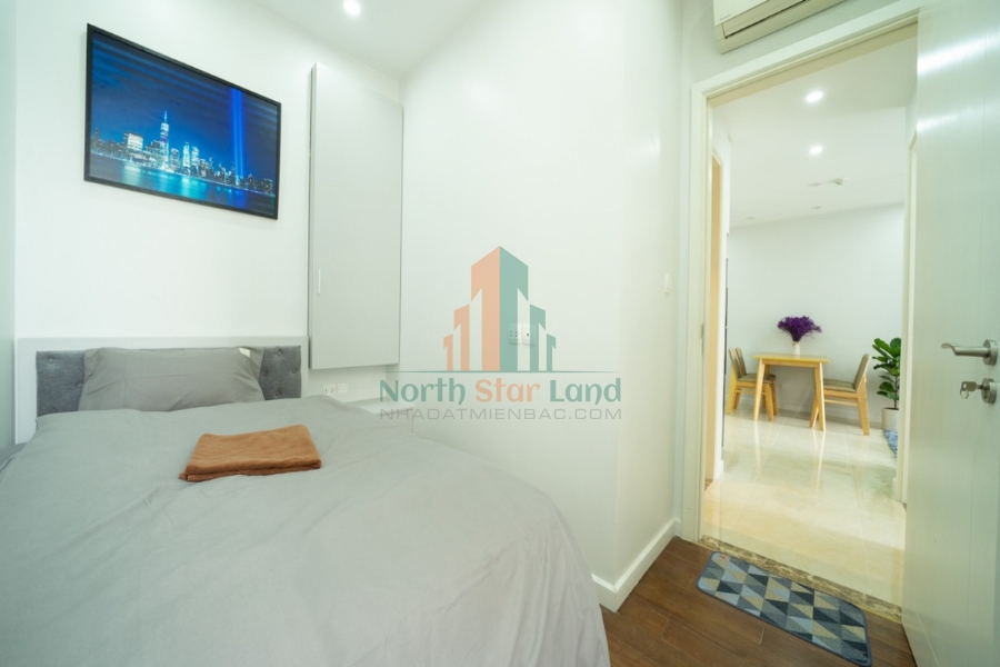 Chính chủ cho thuê Căn hộ 2 PN Vinhomes D Capitale phong cách Châu Âu, Đẳng Cấp giữa Lòng Thành Phố 36