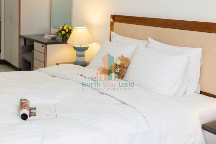 Oriental Palace Executive Villas and Apartments: Khu Căn hộ và Biệt thự cao cấp cho thuê đẹp mê, có bể bơi và phòng tập 21