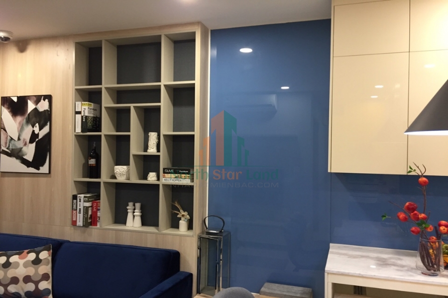 Căn hộ đẳng cấp quốc tế tại Vinhomes Smart City cho người nước ngoài thuê 14