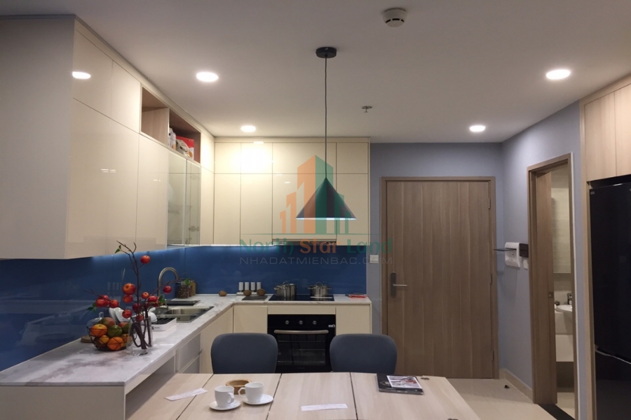 Căn hộ đẳng cấp quốc tế tại Vinhomes Smart City cho người nước ngoài thuê 17