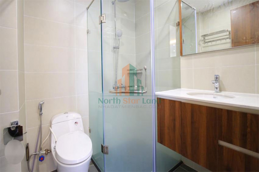 Căn hộ 3 phòng ngủ cho người nước ngoài thuê khu vực Phủ Tây Hồ, quận Tây Hồ 18