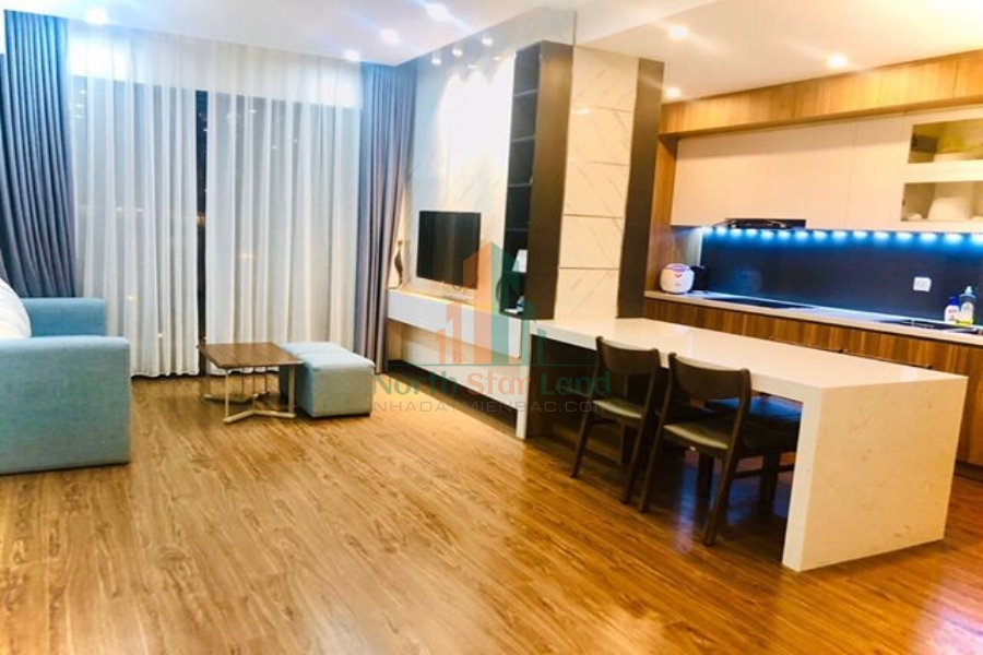 Chính chủ cho thuê chung cư cao cấp 3 phòng ngủ tòa C1 - D’Capitale Trần Duy Hưng 3