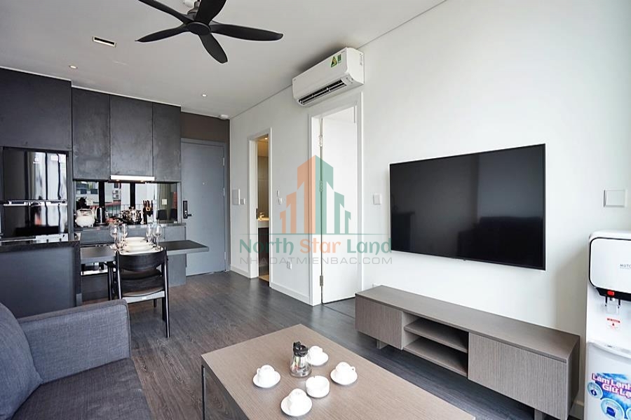 Cho thuê căn hộ dịch vụ mới 100% giá phải chăng tại Tô Ngọc Vân, quận Tây Hồ 19