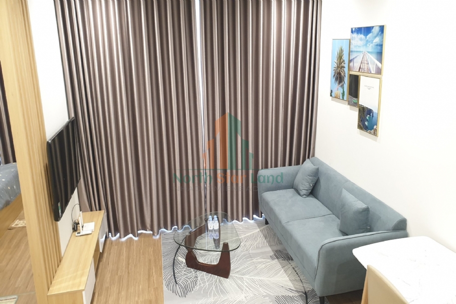 Cho thuê căn hộ thiết kế độc đáo Vinhomes Skylake, 1 phòng ngủ, đầy đủ nội thất, tại quận Từ Liêm 9