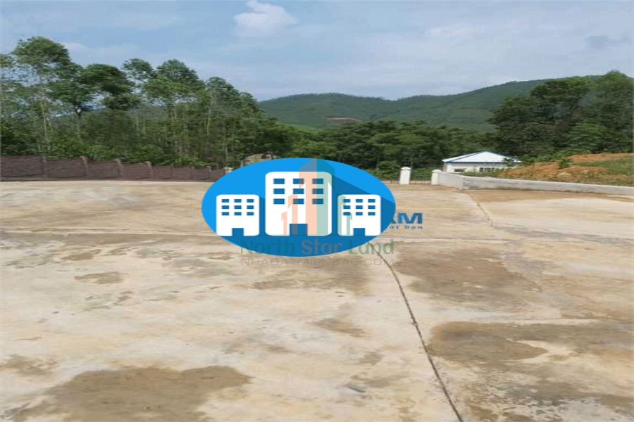Chuyển nhượng cổ phần, 3ha đất có 1ha nhà xưởng sản xuất gỗ ép tại Tam Nông, Phú Thọ 5