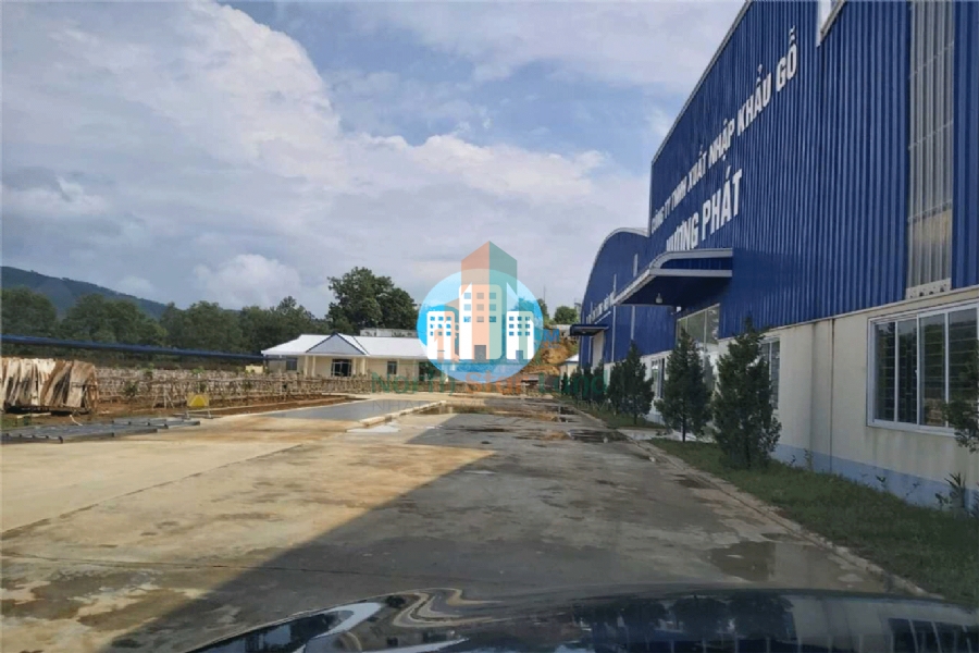Chuyển nhượng cổ phần, 3ha đất có 1ha nhà xưởng sản xuất gỗ ép tại Tam Nông, Phú Thọ 6