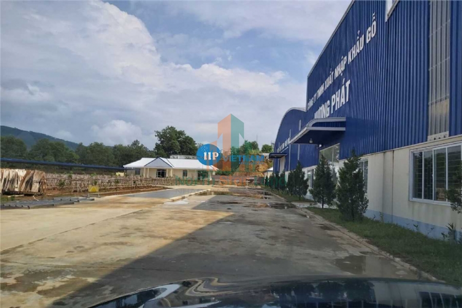 Chuyển nhượng cổ phần, 3ha đất có 1ha nhà xưởng sản xuất gỗ ép tại Tam Nông, Phú Thọ 7