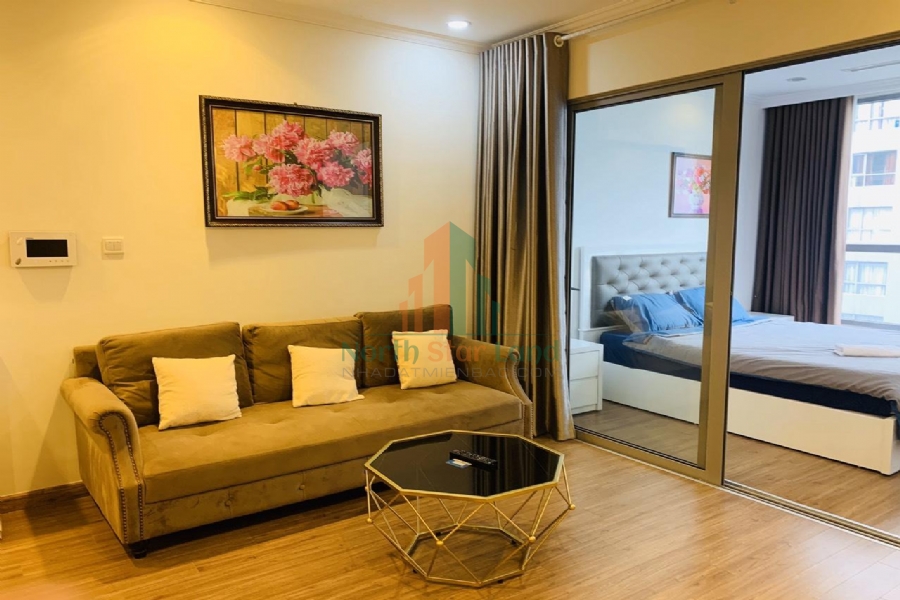 Chính chủ cho thuê căn hộ hạng sang Vinhomes Times City, 2 phòng ngủ, có ban công, nội thất đầy đủ khu vực quận Hai Bà Trưng 1