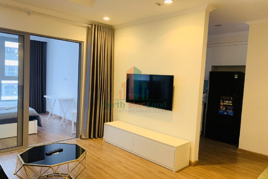 Chính chủ cho thuê căn hộ hạng sang Vinhomes Times City, 2 phòng ngủ, có ban công, nội thất đầy đủ khu vực quận Hai Bà Trưng 3
