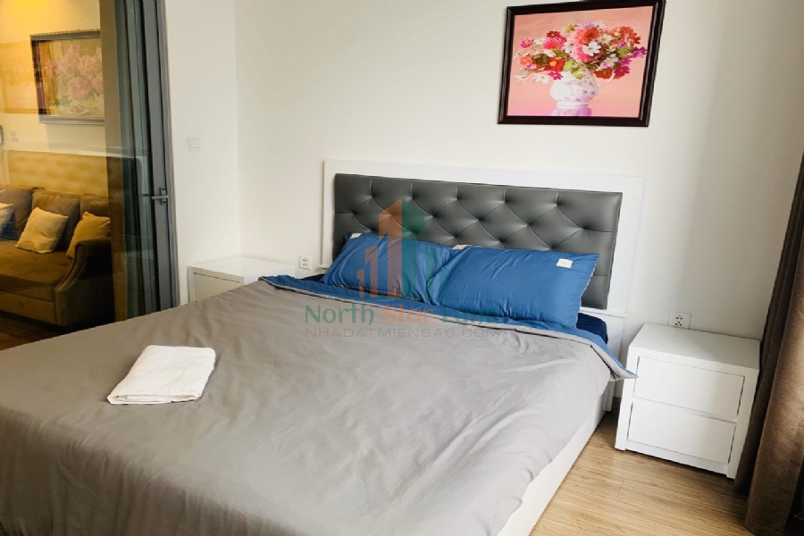 Chính chủ cho thuê căn hộ hạng sang Vinhomes Times City, 2 phòng ngủ, có ban công, nội thất đầy đủ khu vực quận Hai Bà Trưng 4