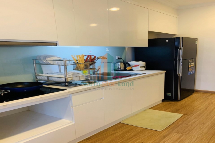 Chính chủ cho thuê căn hộ hạng sang Vinhomes Times City, 2 phòng ngủ, có ban công, nội thất đầy đủ khu vực quận Hai Bà Trưng 5