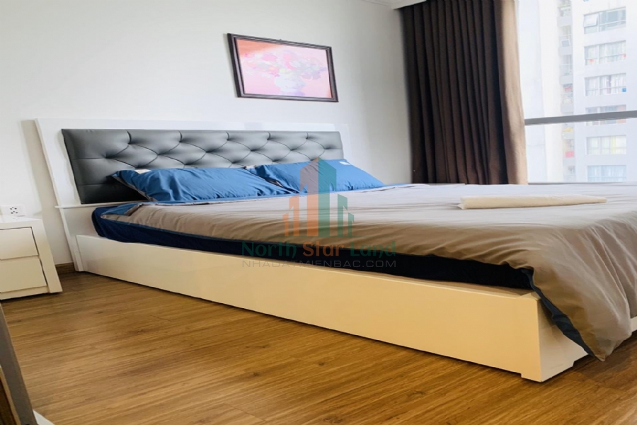 Chính chủ cho thuê căn hộ hạng sang Vinhomes Times City, 2 phòng ngủ, có ban công, nội thất đầy đủ khu vực quận Hai Bà Trưng 6