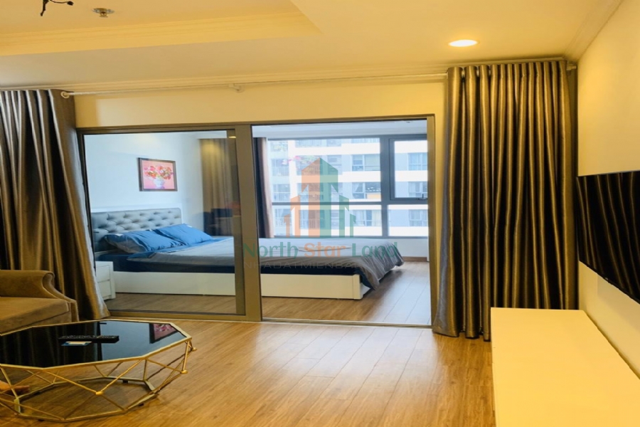 Chính chủ cho thuê căn hộ hạng sang Vinhomes Times City, 2 phòng ngủ, có ban công, nội thất đầy đủ khu vực quận Hai Bà Trưng 7