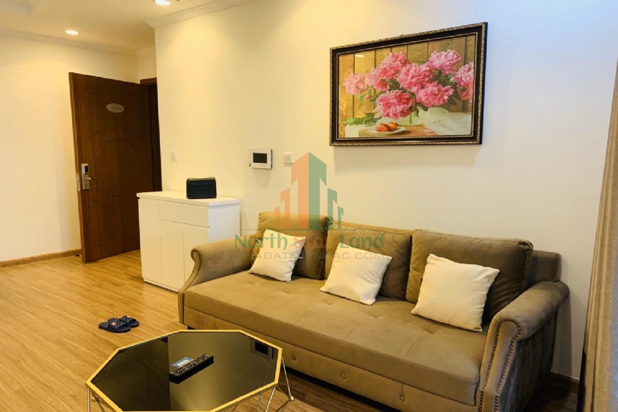 Chính chủ cho thuê căn hộ hạng sang Vinhomes Times City, 2 phòng ngủ, có ban công, nội thất đầy đủ khu vực quận Hai Bà Trưng 8