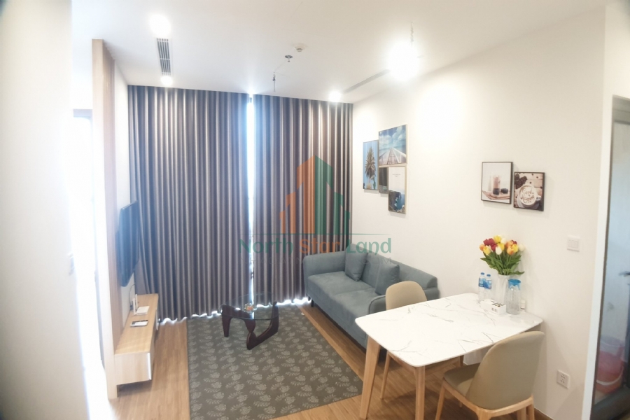 Chính chủ cho thuê căn hộ cao cấp Vinhomes Skylake, 2 phòng ngủ, view thành phố, full đồ, khu vực quận Nam Từ Liêm. 13
